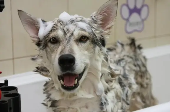 Зоосалон Милорд на Мичуринском проспекте