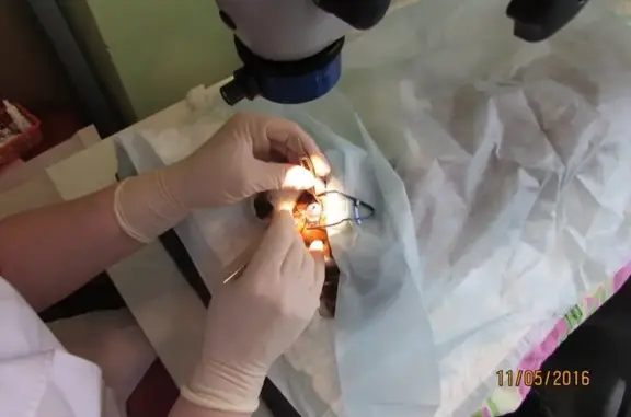 Доверие, ветеринарный центр