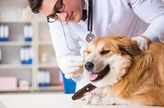 Ветеринарная лаборатория Зайцев+ на метро Электрозаводская