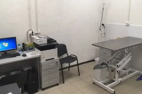 Бетховен, ветеринарная клиника