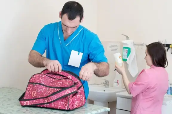 Городская ветеринарная клиника