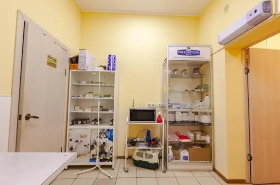 ВетКлик, ветеринарная клиника