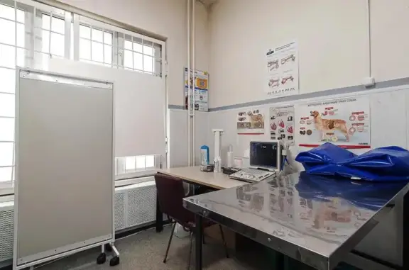 Тим, ветеринарные лаборатории и клиники