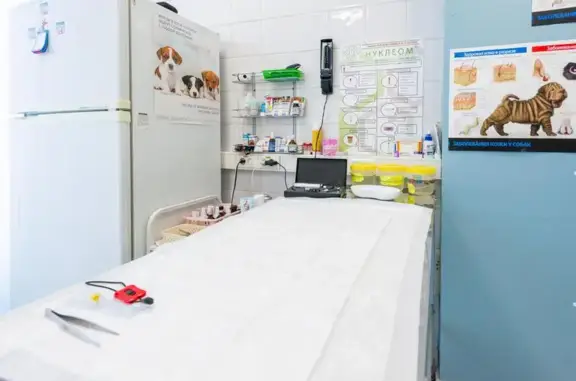 Пушистый нянь, ветеринарная клиника
