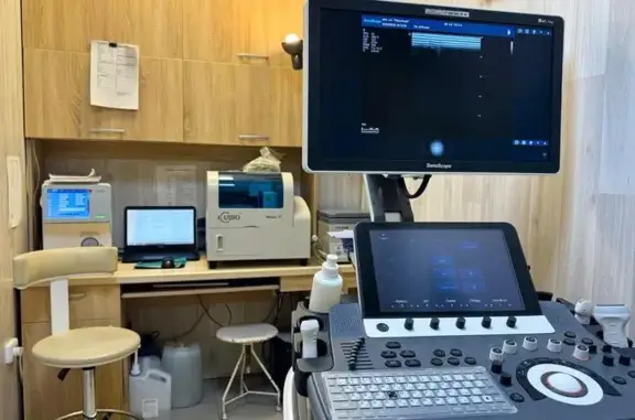 Надежда, ветеринарная клиника