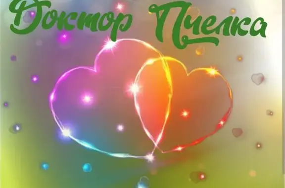 Доктор Пчёлка, ветеринарная клиника