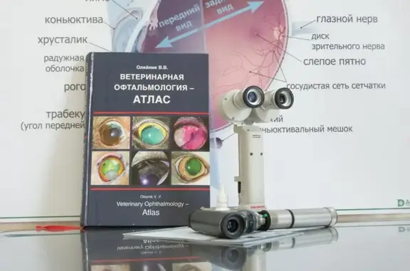Ветеринарный центр глазных болезней доктора Олейник на улице Чекменёва, 16/2