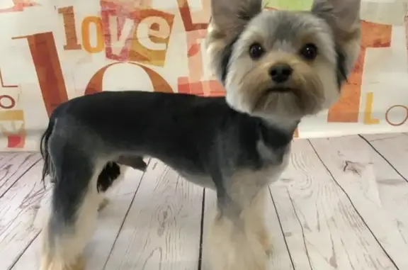 Груминг-салон Groomerkzn