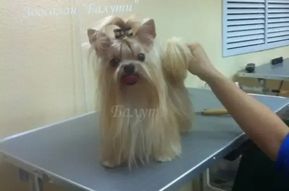 Зоосалон Балути в ТЦ Три-D