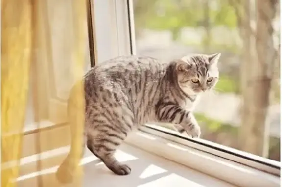 Косточка, ветеринарная клиника