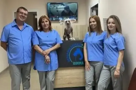 Ветеринарная клиника Юмма