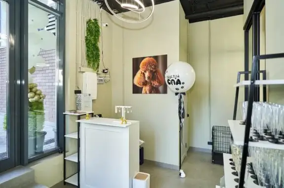 Груминг-салон Ушастый СПА в Сосенском