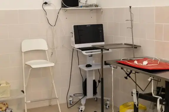 Хакуна Матата, ветеринарная клиника