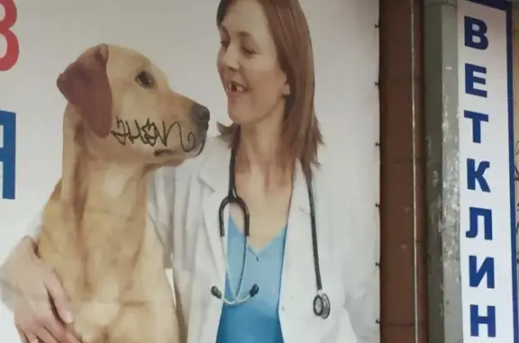 Багира, ветеринарная клиника