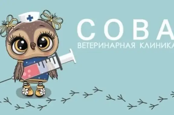 Сова, ветеринарная клиника