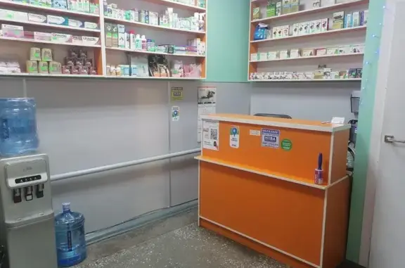 Белая лапа, ветеринарная клиника