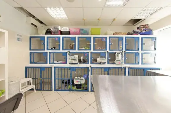 Астин, ветеринарная клиника