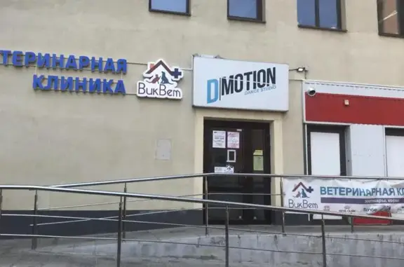 Виквет, ветеринарная клиника