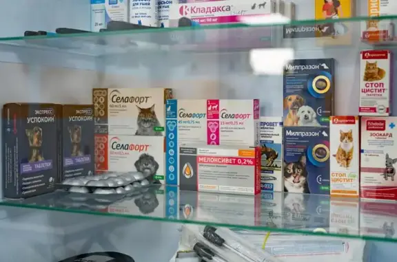 Любимцы, ветеринарная клиника