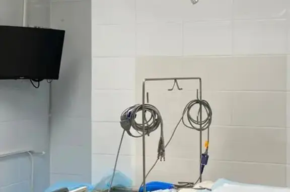 Ситивет, ветеринарный центр