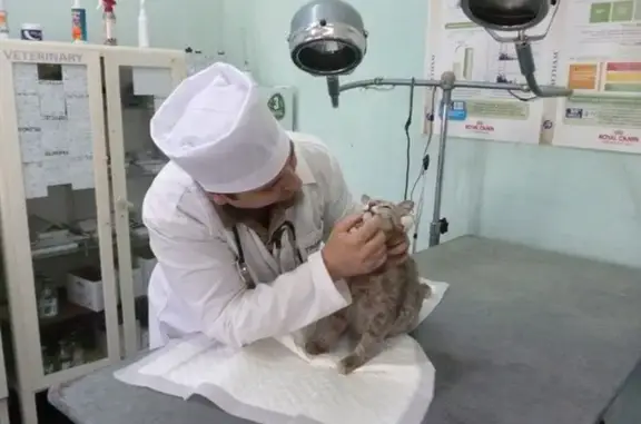 Зоодрузья, ветеринарный центр