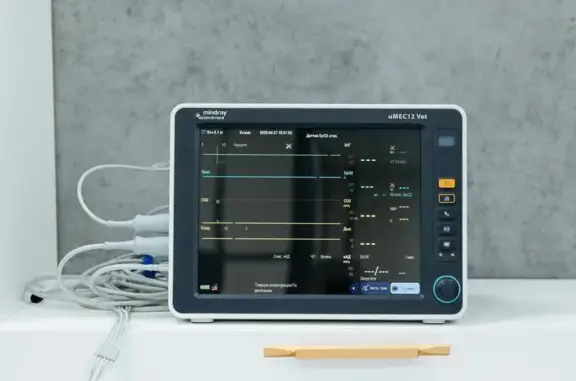 VetMajor, ветеринарный центр
