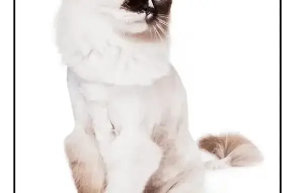 Салон Грумвиль