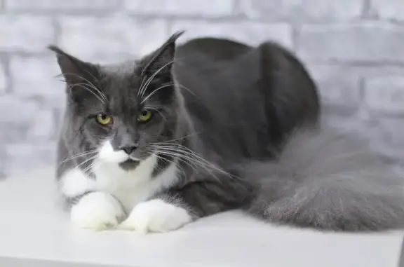 Салон-магазин Басконти