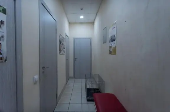 Артемида, ветеринарная клиника