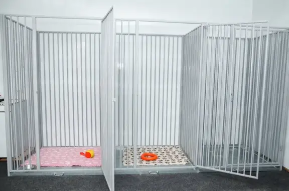 Кинологический клуб Спринт