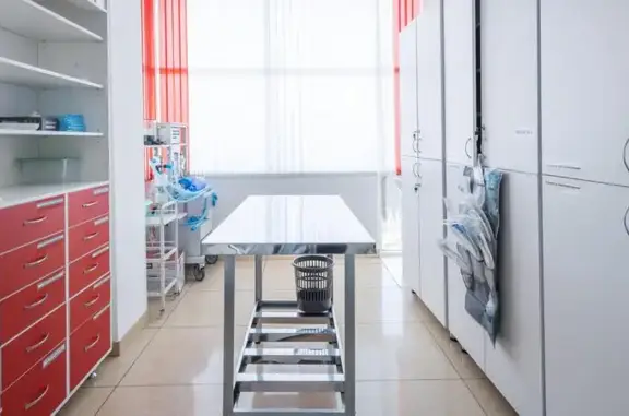 Барс, ветеринарная клиника