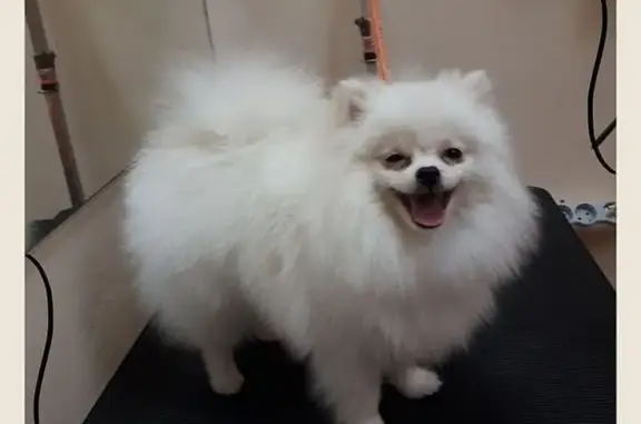 Зоосалон Пушистик на улице Ильюшина