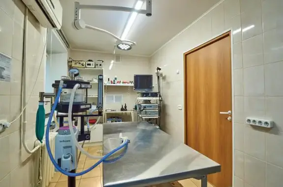 Ветеринарная клиника Зооветсервис на улице Снайперов