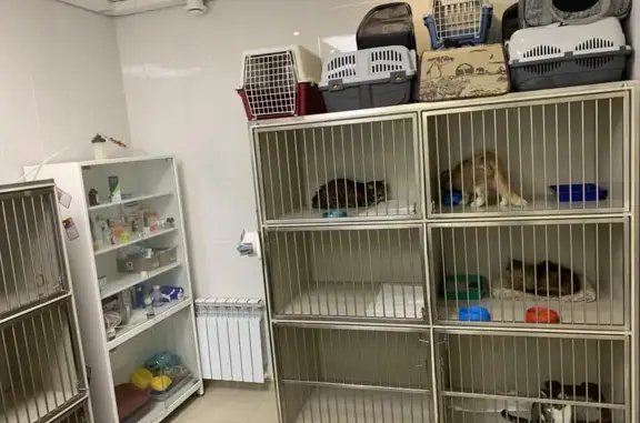 Алый пёс, ветеринарный центр