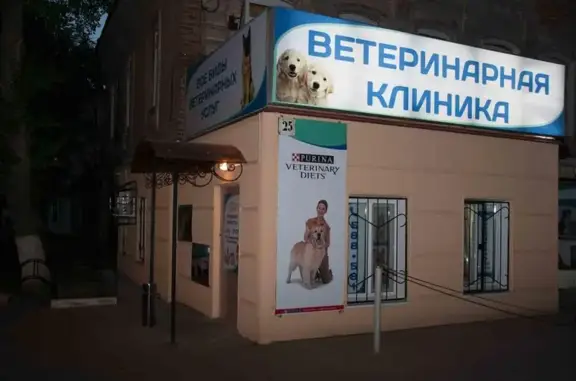 Ветеринарная клиника Дон Терьеро