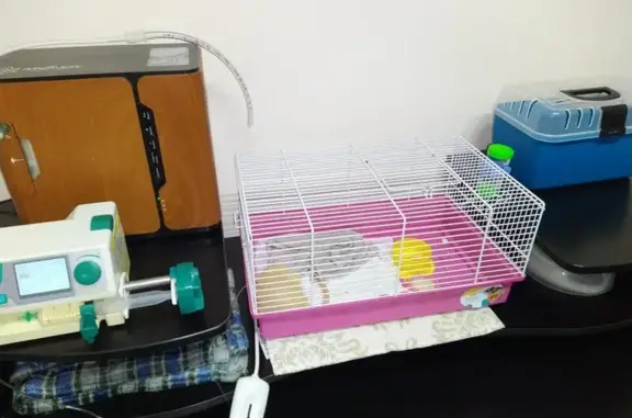 Единорог, ветеринарный центр