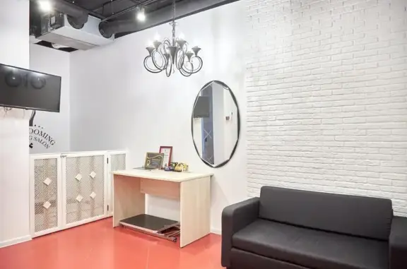 Салон для животных Стильные лапки