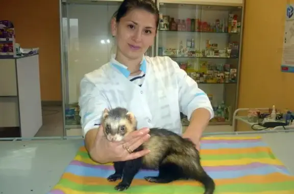 Ветеринарная клиника на улице Лавровой