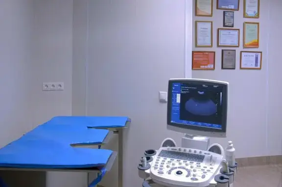 Чеширский кот, ветеринарная клиника