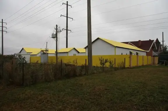 Зоогостиница Котариум