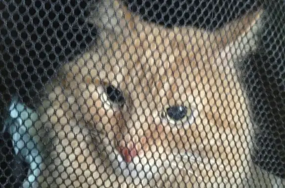 Кунцевская ветеринарная лечебница Московское объединение ветеринарии в Можайском районе