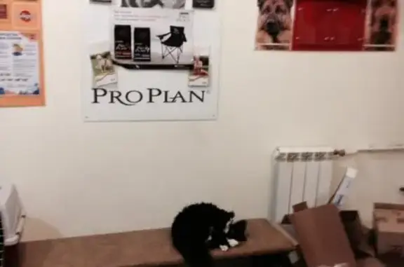 Авета, ветеринарная клиника