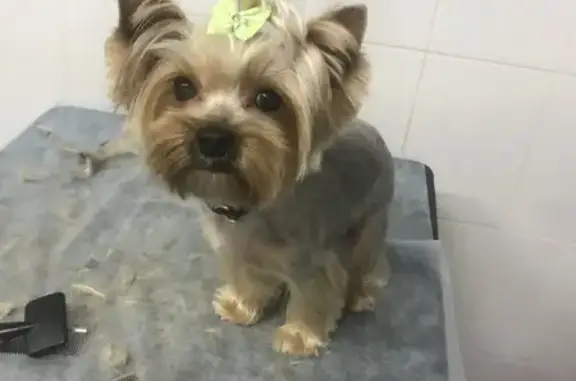 Зоосалон Пушистый хвост