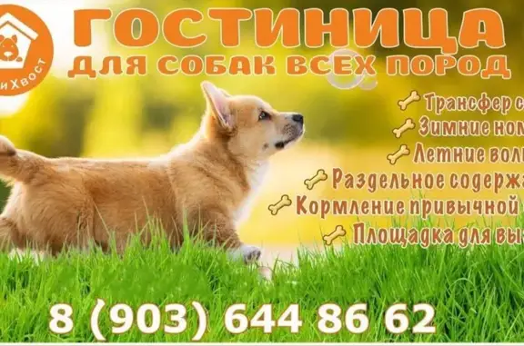 Зоогостиница Вилли Хвост