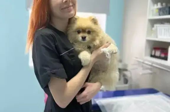 Ветеринарная клиника Лозового Е.С. ЛЕС на Бобруйской улице