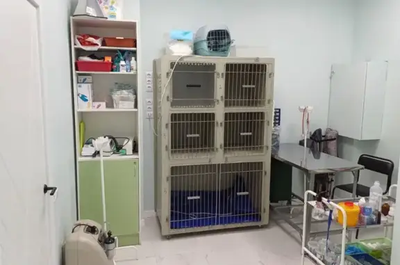 Веткруг, ветеринарная клиника