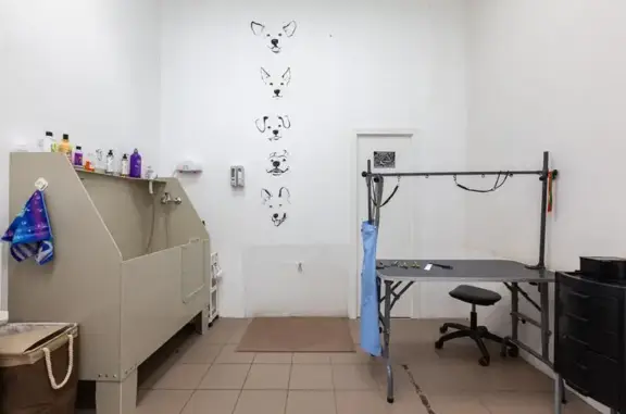 Зоосалон Виляй хвостом в Испанских кварталах