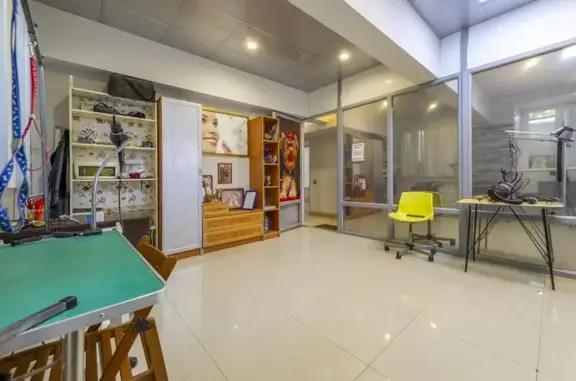 Зоосалон Дарси на улице Стромынка