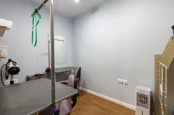 Груминг-салон Hamelton