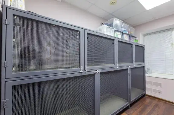 ZooClinic24, ветеринарная клиника